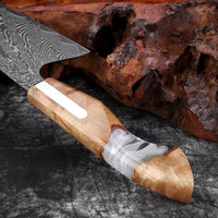 Couteau de chef damas 20,3 cm – résine et bois