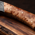 Couteau Kiritsuke Japonais Acier Damas 67 Couches 13 cm – Manche Loupe de Bois